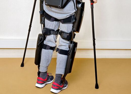 exoskelet
